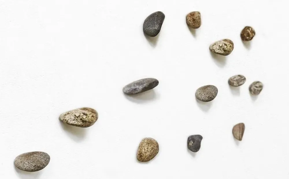 Outlet Appendiabiti modello Meteore a prezzo ribassato Appendiabiti