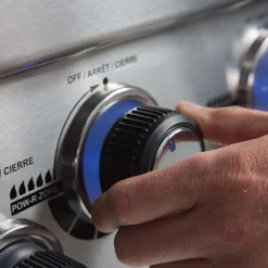 New Barbecue modello Regal 490 a marchio in offerta Barbecue