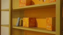 Artigianale Cameretta Galli con letto a terra in offerta- Camerette