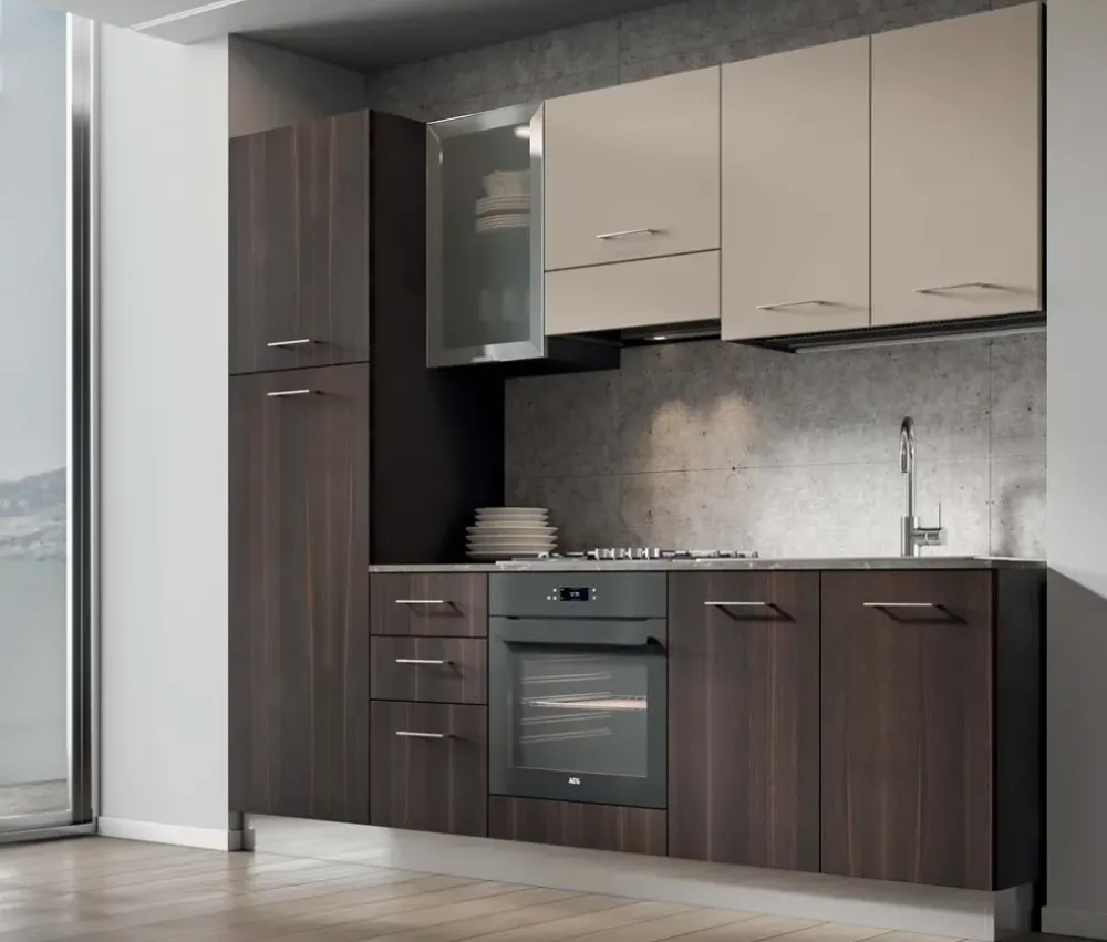 Outlet Crea una cucina moderna lineare con Composizione 255. Cucine Lineari|Cucine Moderne