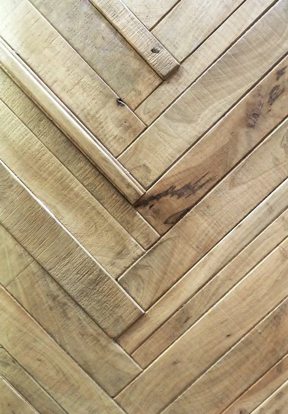 Cucina moderna lineare rovere chiaro in legno Cucinja moderna rennes in legno e bronzo^Collezione esclusiva Best