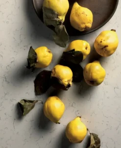 Best Cucina con isola moderna grigia Zenit a soli 14477 Euro Cucine Ad Isola|Cucine Moderne