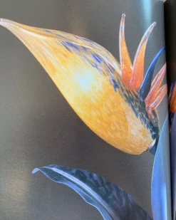 Da tavolo con SCONTO IMPERDIBILE^Banci Hot