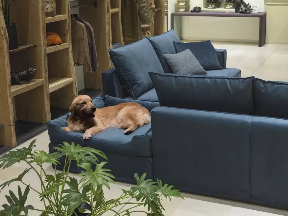 Samoa Divano Lineare Divano modello glammy di a prezzo scontato- Divani