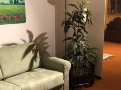 Flowerpot B&B: design italiano a prezzo scontato. Oggettistica