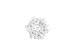 Slamp Lampada da parete Clizia mama non mama ceiling/wall mini a prezzo Outlet- Applique Da Parete