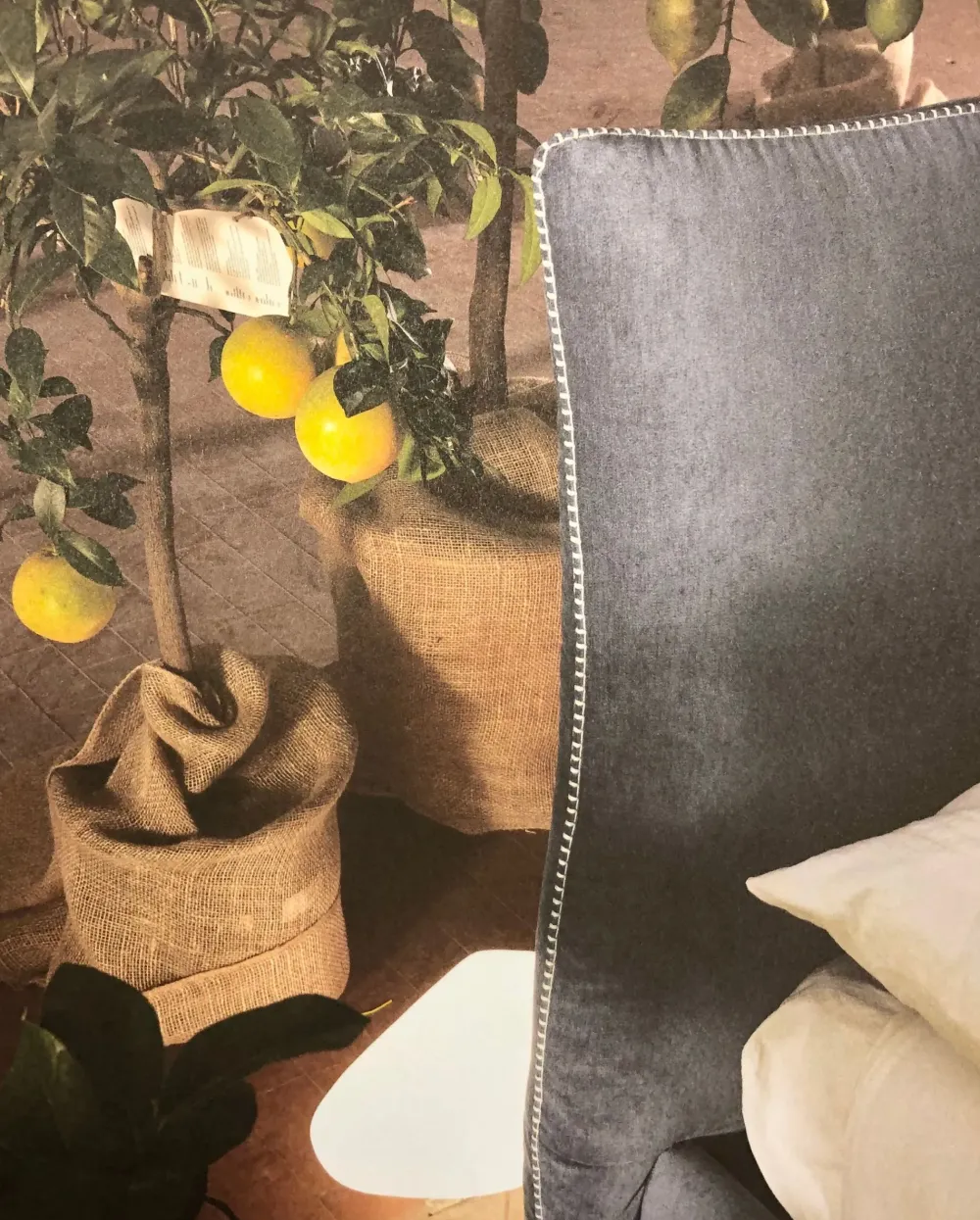 New LETTO Patricia SCONTATO Letti