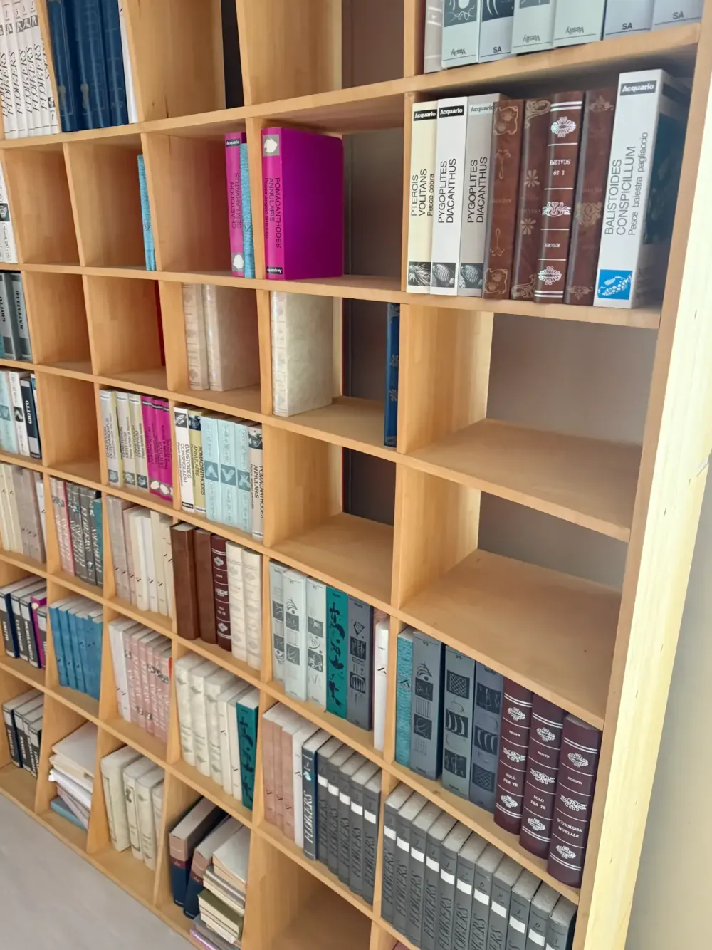 Libreria in legno scontata -67%: scopri Biosfera^Artigianale Outlet