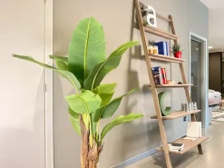 Libreria Libreria a terra di : richiedi ora il prezzo riservato^Devina Nais Online