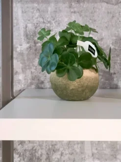 Tomasella Libreria modello Movida di in Offerta Outlet- Librerie