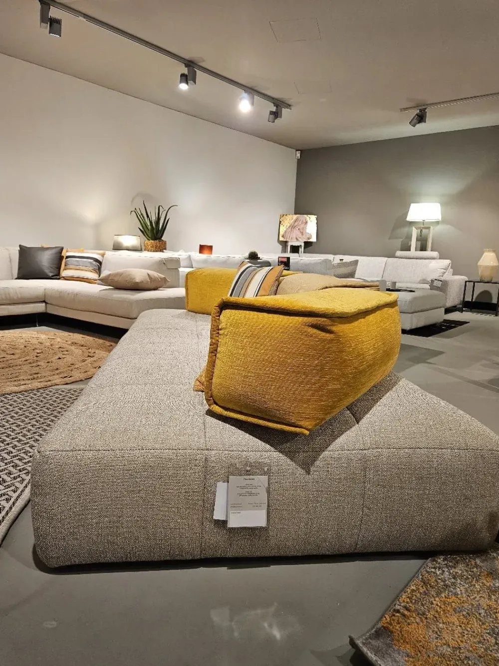 Online Lineare Moss ad un prezzo vantaggioso Divani