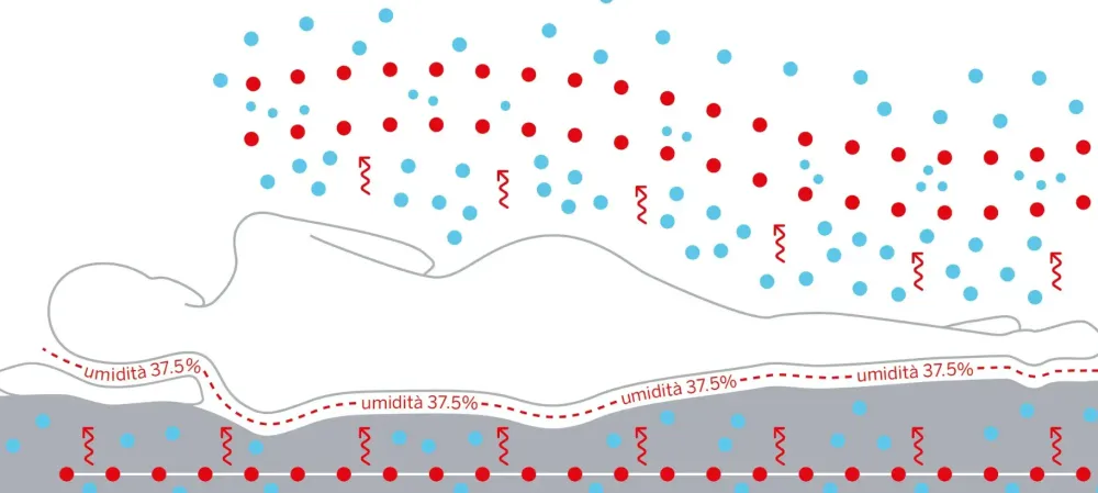 Zigflex Materasso Regula plain a prezzi outlet- Materassi
