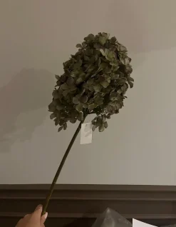 Oggettistica design a prezzi convenienti^Artigianale Clearance