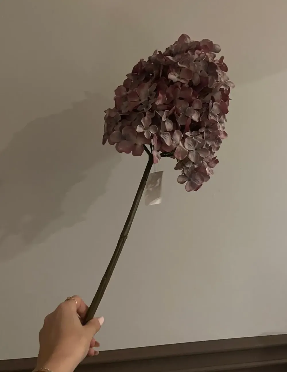 Oggettistica design a prezzi convenienti^Artigianale Clearance