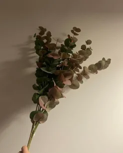 Oggettistica design Eucalipto rami pianta finta di scontata del 27%^Artigianale