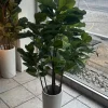 Artigianale Oggettistica design modello Ficus lyrata piccola pianta finta di in offerta- Oggettistica