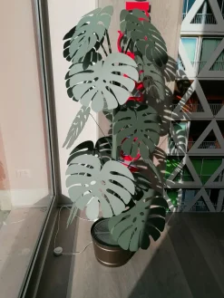 Artigianale Oggettistica Pianta monstera grande verde salvia a prezzo scontato- Oggettistica