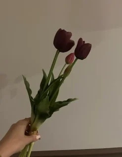 Discount Oggettistica Tulipani fiori finti di in offerta Oggettistica