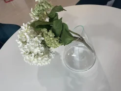 Oggettistica Vaso in vetro con uno SCONTO IMPERDIBILE^Adok Best