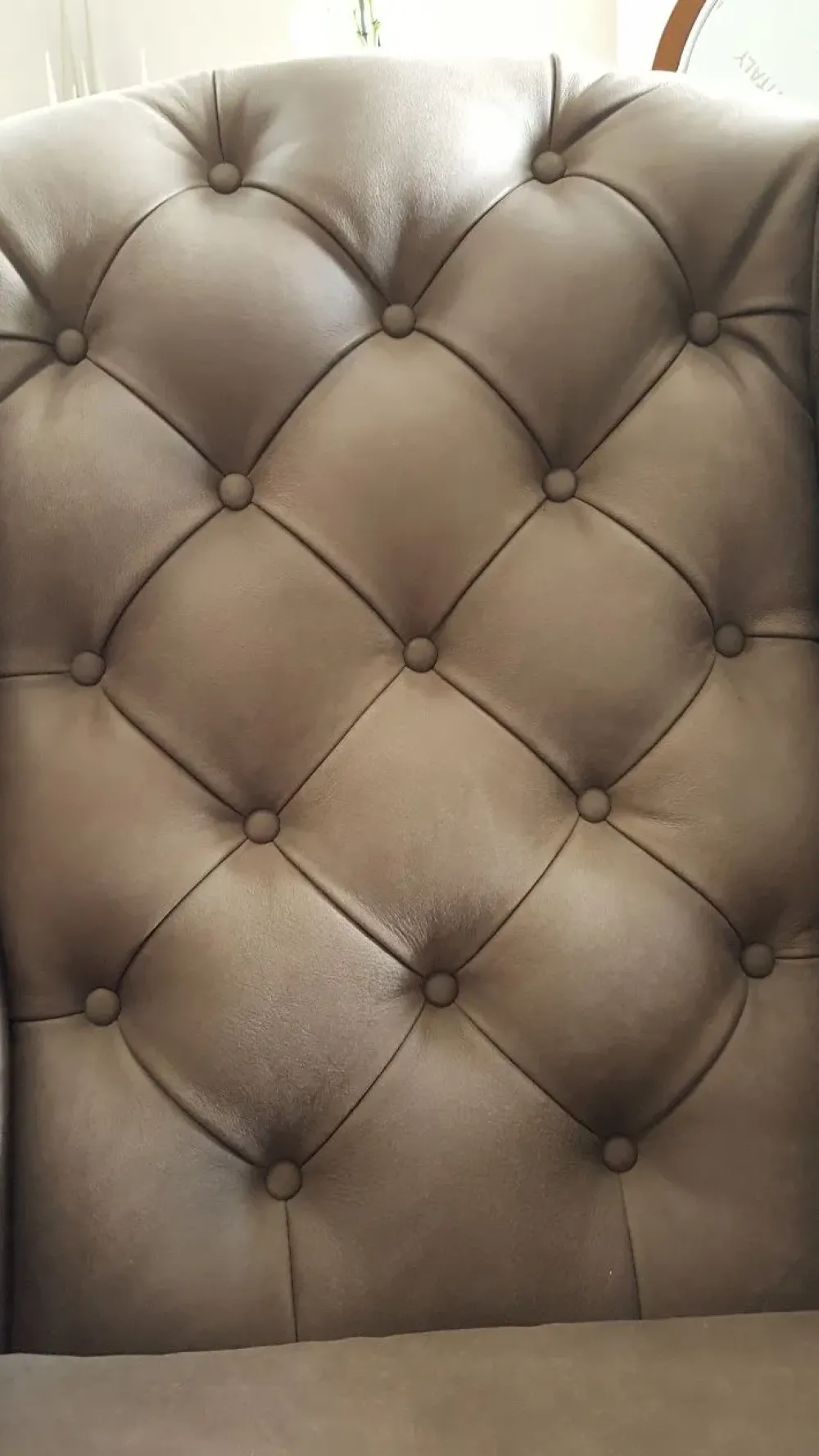 Cavadivani Poltrona in Pelle Kelly in Offerta Outlet- Poltrone