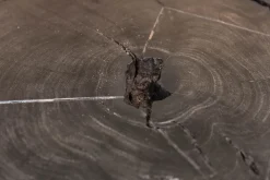 Artigianale Prezzi ribassati per il tavolino design N. 1 tavolino legno massello sezione originale tronco di- Tavolini