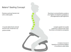 Hot Sedia per ufficio Variable di SCONTATA 25% Sedie