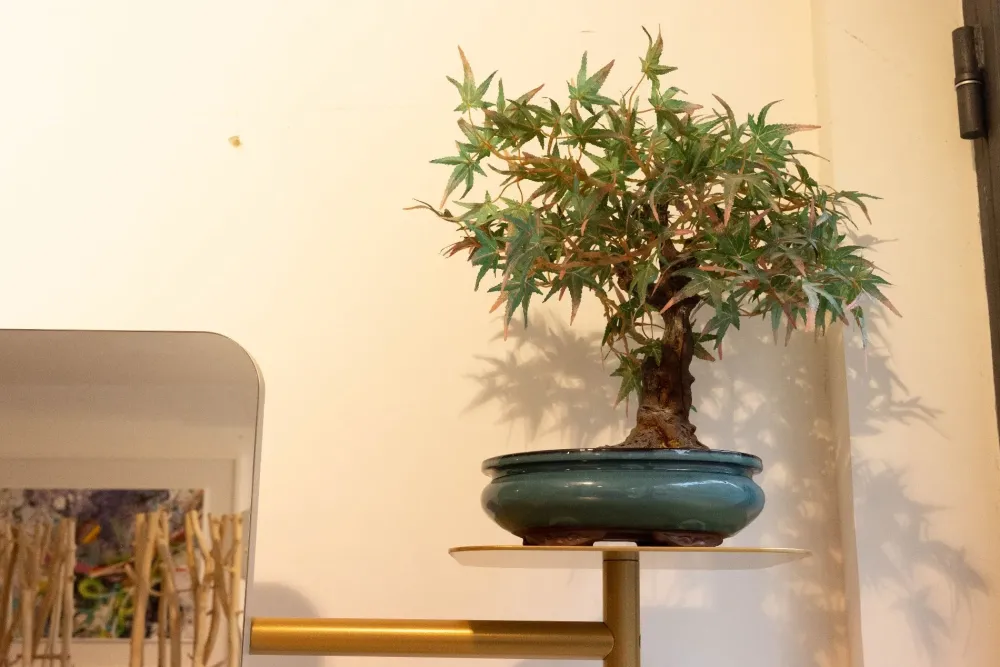 Specchiera Babele di a prezzi ribassati^Memedesign Sale