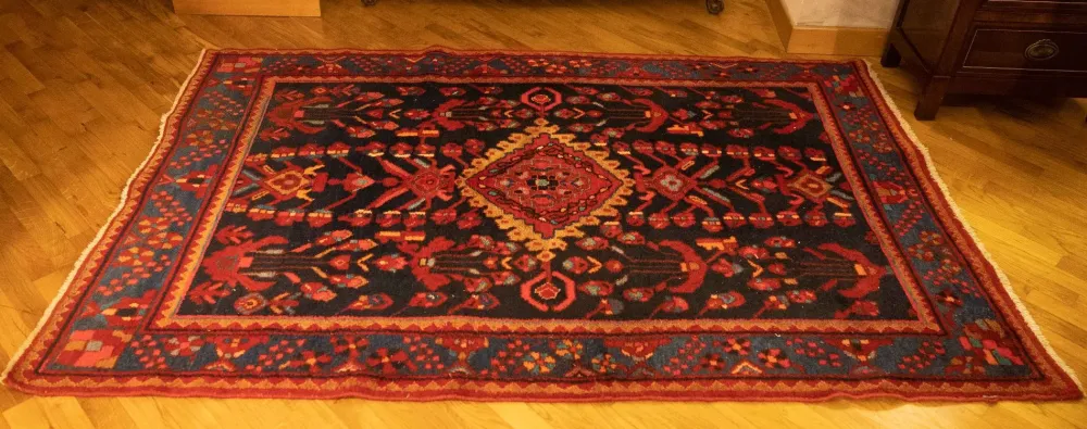 Tappeto Classico in lana modello Hamadan a prezzi outlet^Collezione esclusiva Outlet