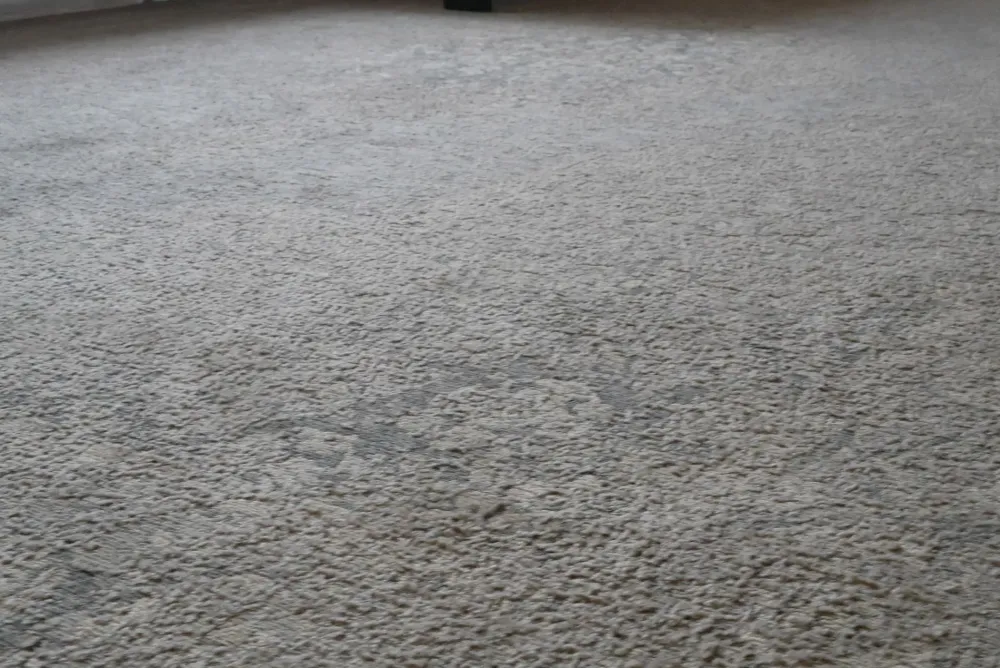 Discount Tappeto Classico modello Chennai a prezzi outlet Tappeti