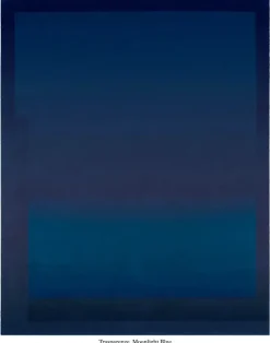 Artigianale TAPPETO Trasparenze SCONTATO a PREZZO OUTLET- Tappeti