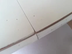 Artigianale Tavolo ovale allungabile Essenza in legno massello laccato bianco con 4 sedie imbottite- Tavoli